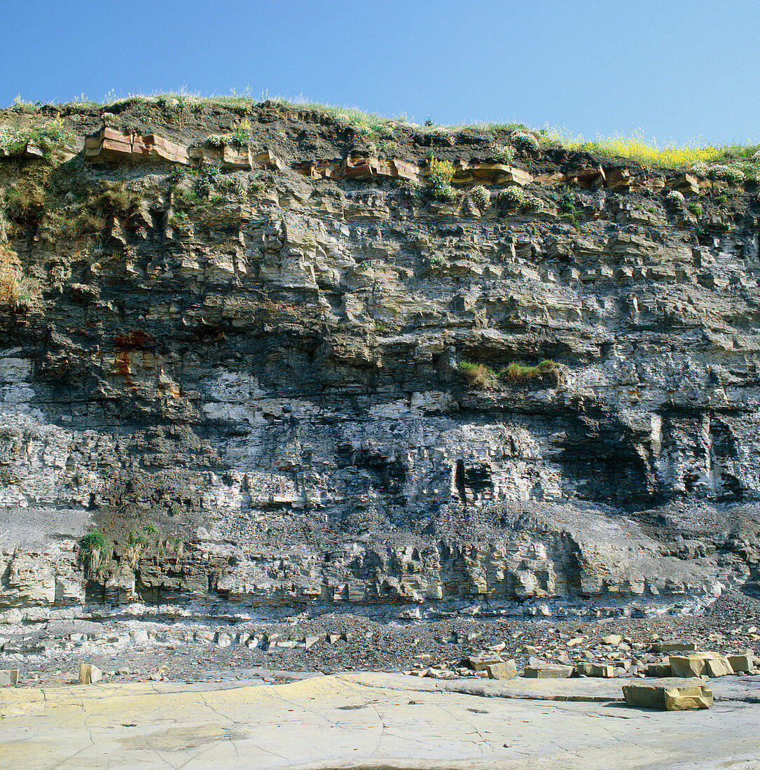 View of cliffs showing cementstone & shale strata