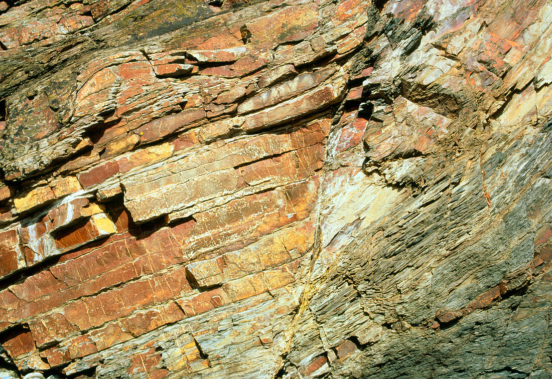 Folded rock strata and a fault