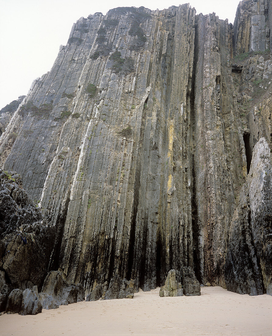 Vertical rock strata at a beach