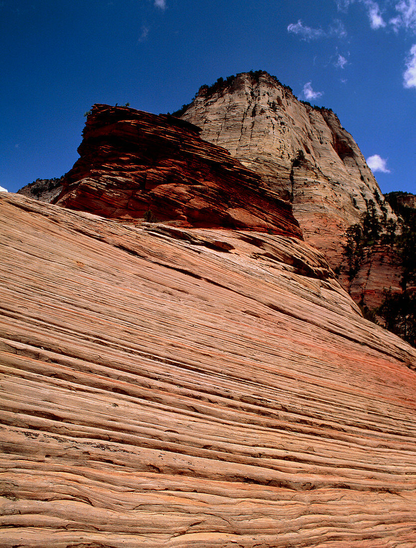 Sedimentary cliff strata,Zion Canyon,Utah