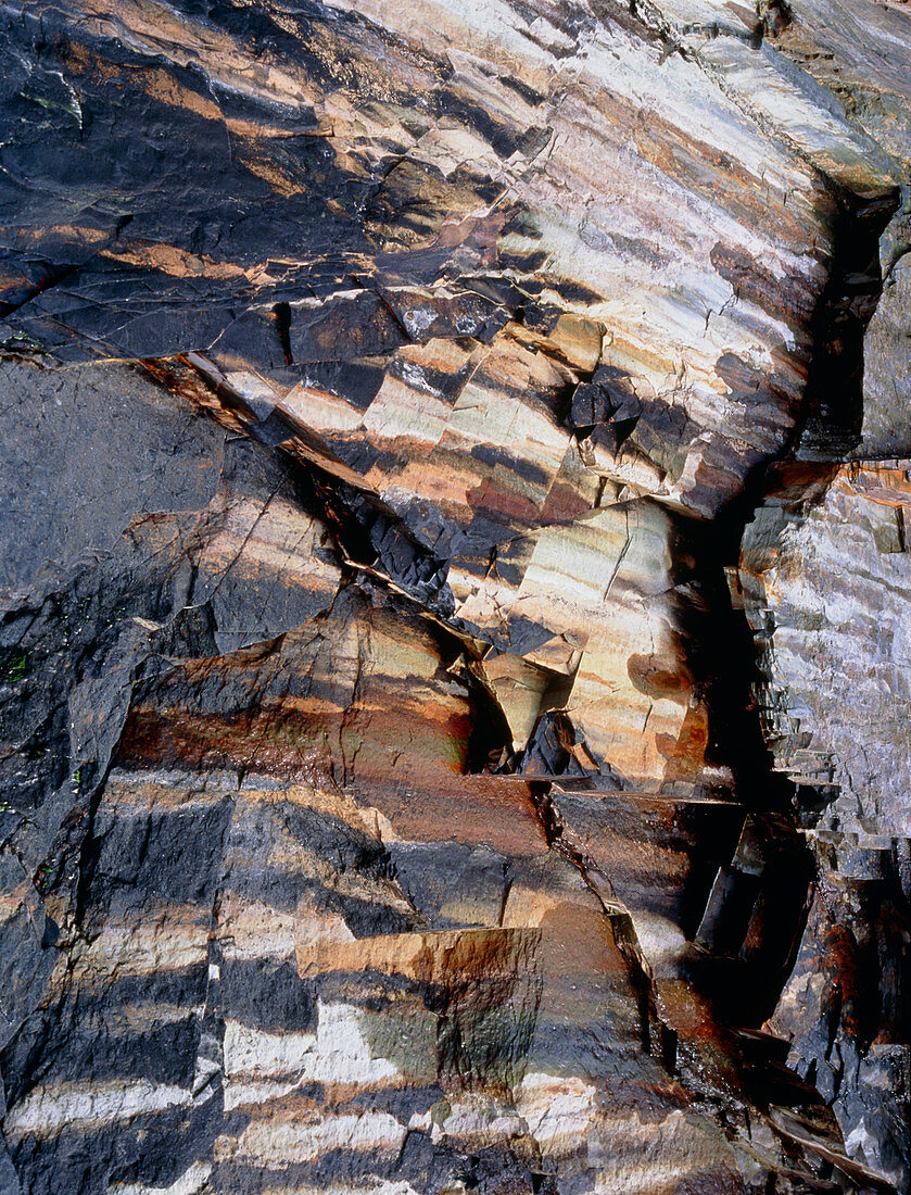 Shale strata in a cliff face