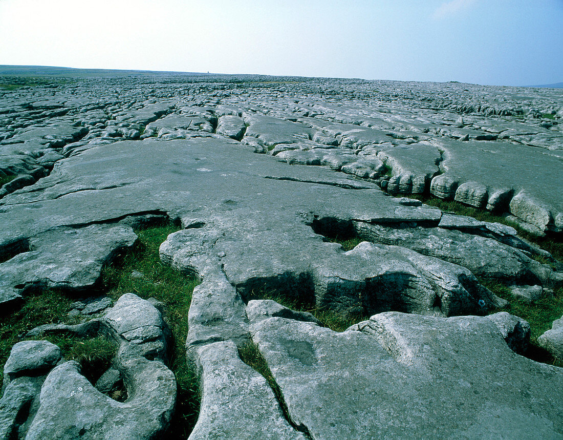 Limestone pavement in Ravenscar,North Yorkshire