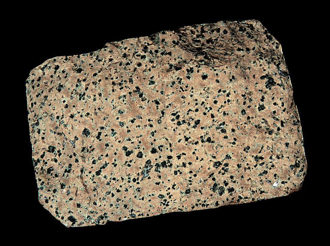 Phonolite igneous rock