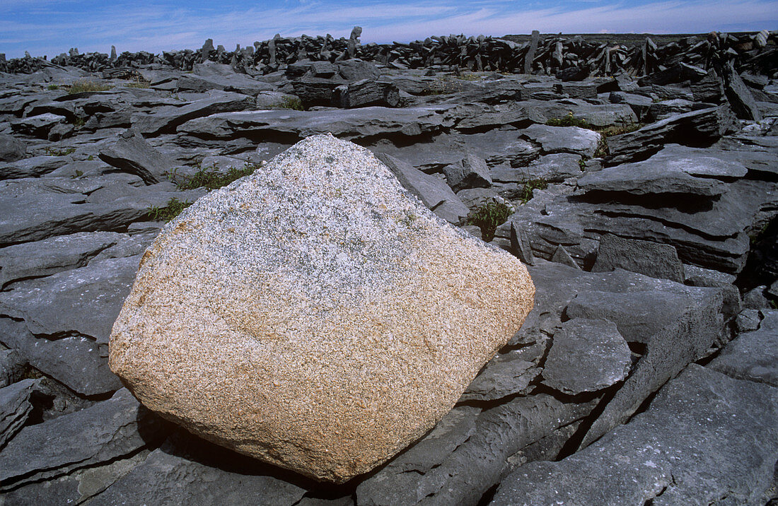 Granite dropstone on limestone beds