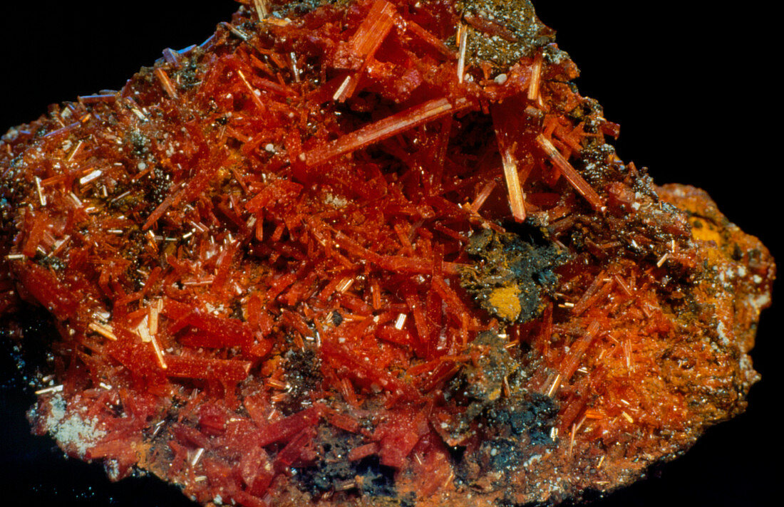 The mineral Crocoite