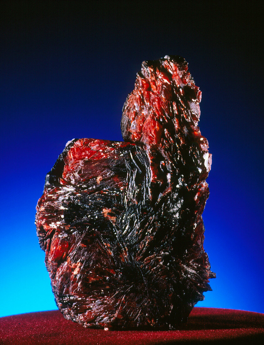 An aggregate of manganotantalite crystals