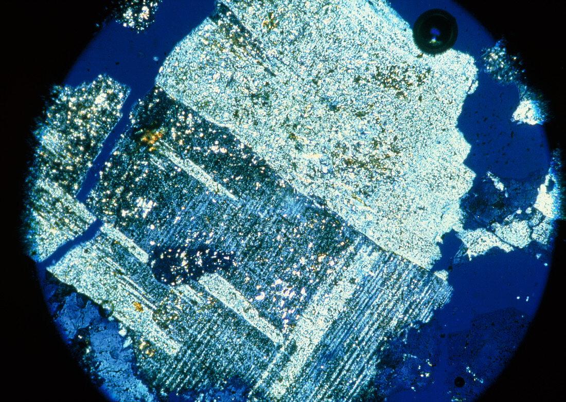 LM of feldspar crystals in thin section of granite