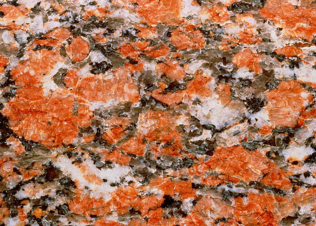 Cut surface of rapakivi granite
