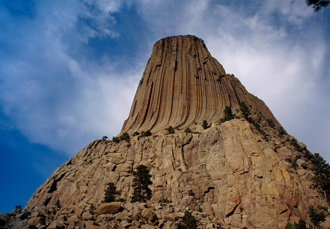 View of Devil's Tower,a basalt outcrop