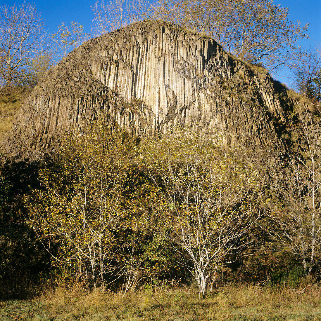 Weathered columnar basalt formation