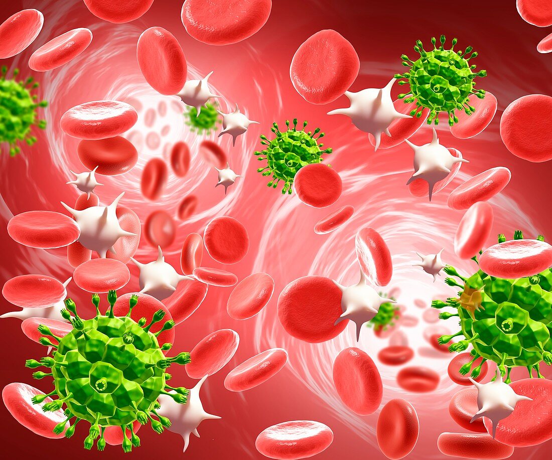 HIV particles,illustration