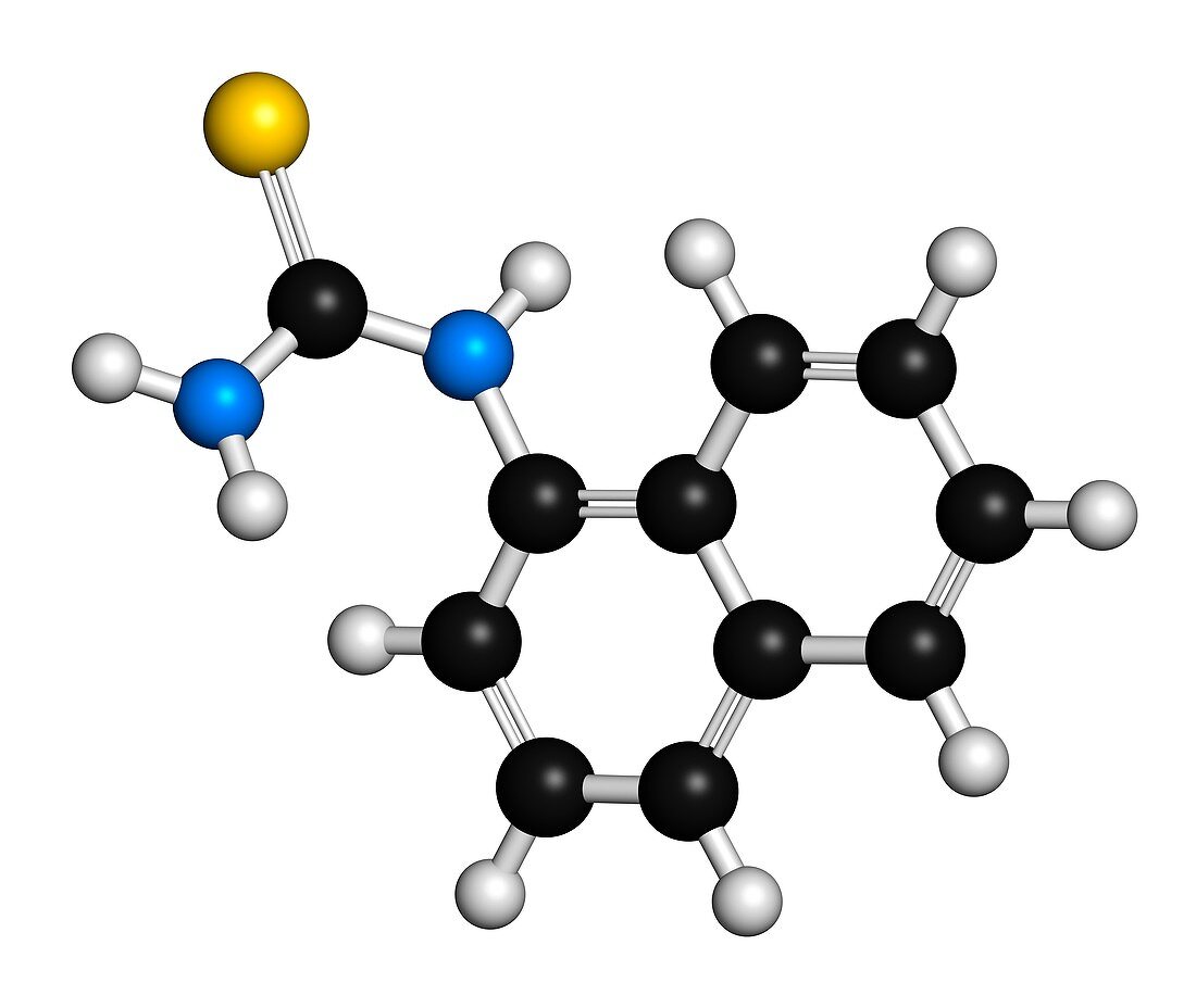 Rodenticide molecule,illustration