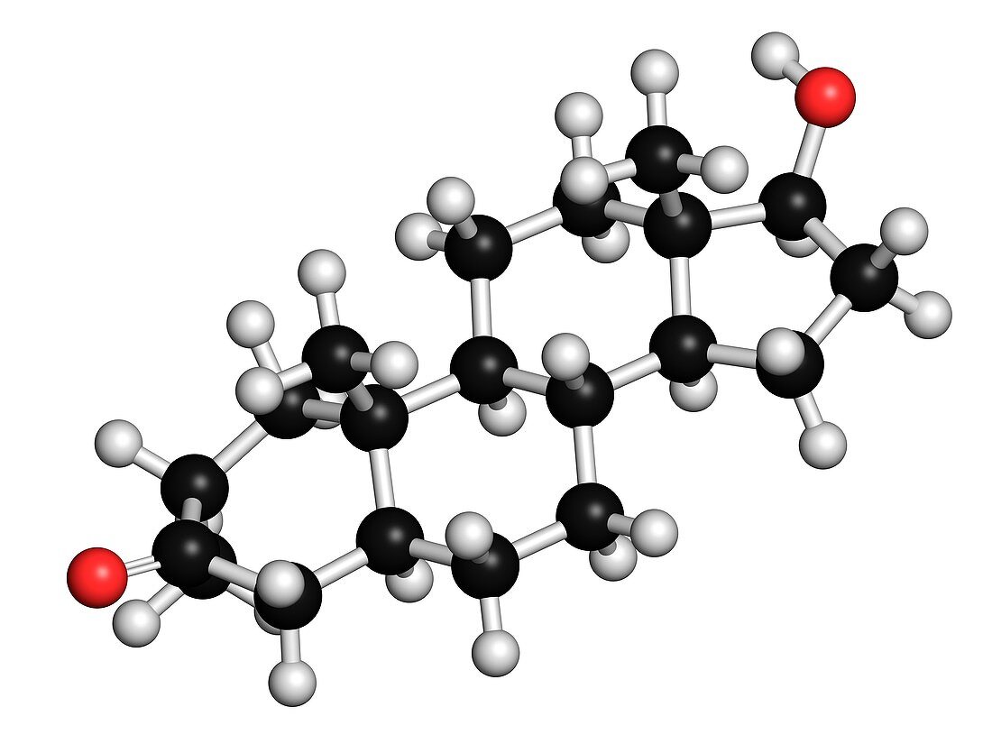 Drostanolone molecule,illustration
