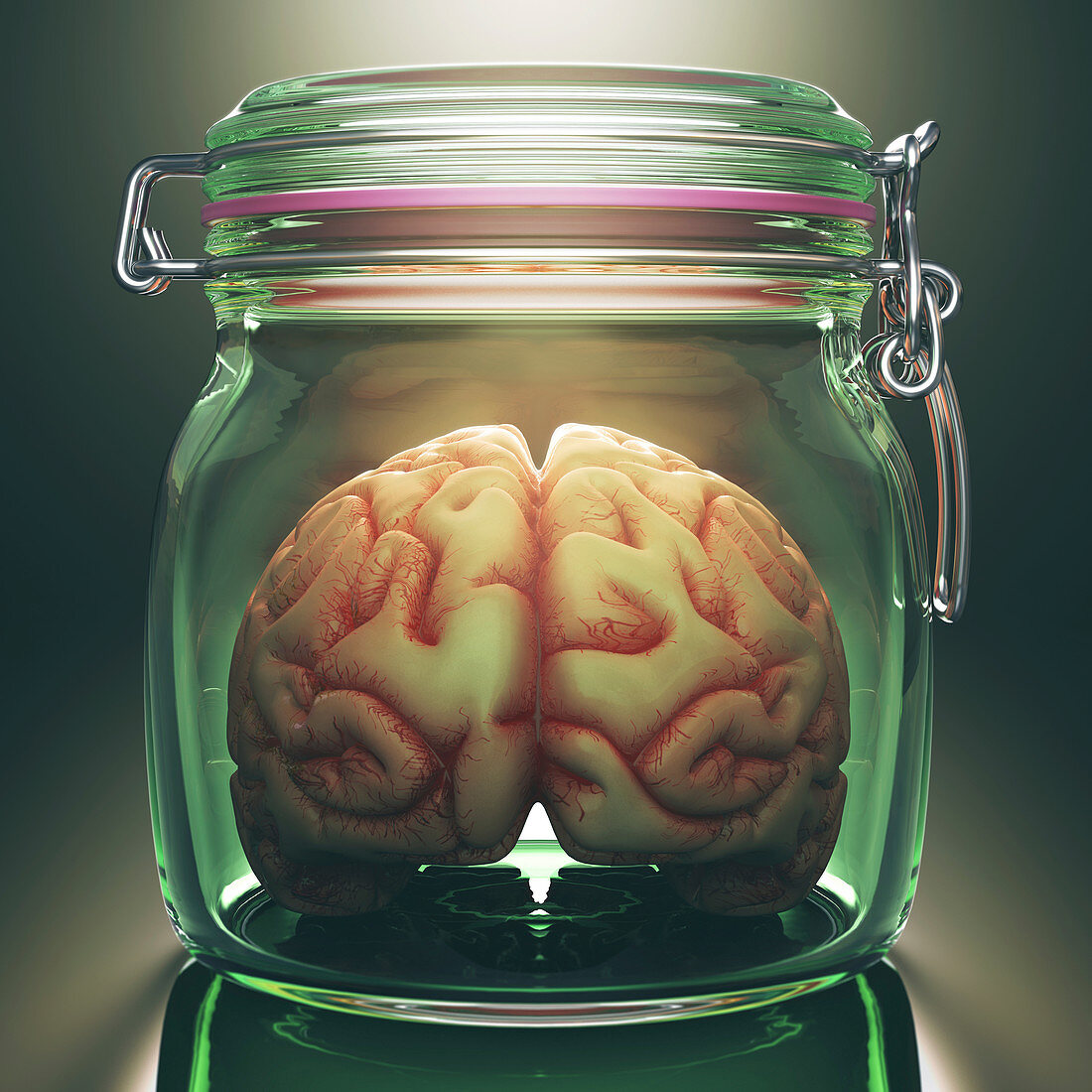 Human brain in glass jar