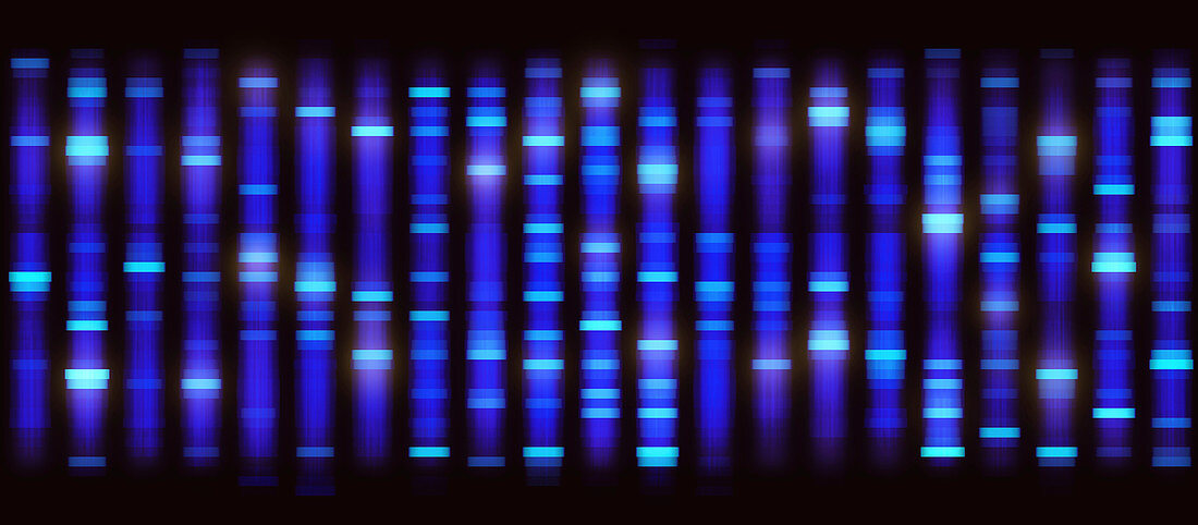 DNA sequencing,illustration
