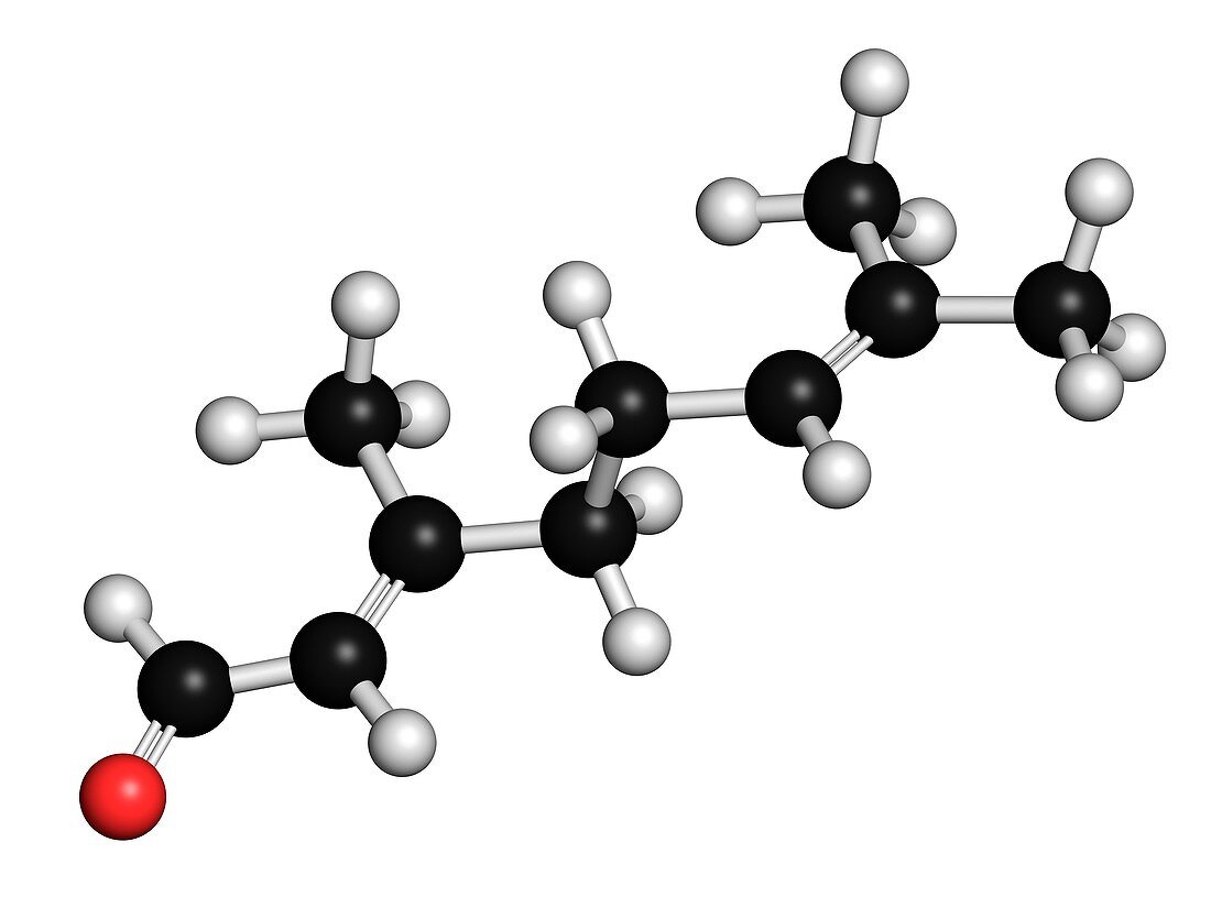 Geranial fragrance molecule,illustration