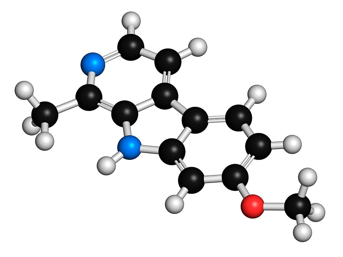Harmine alkaloid molecule,illustration