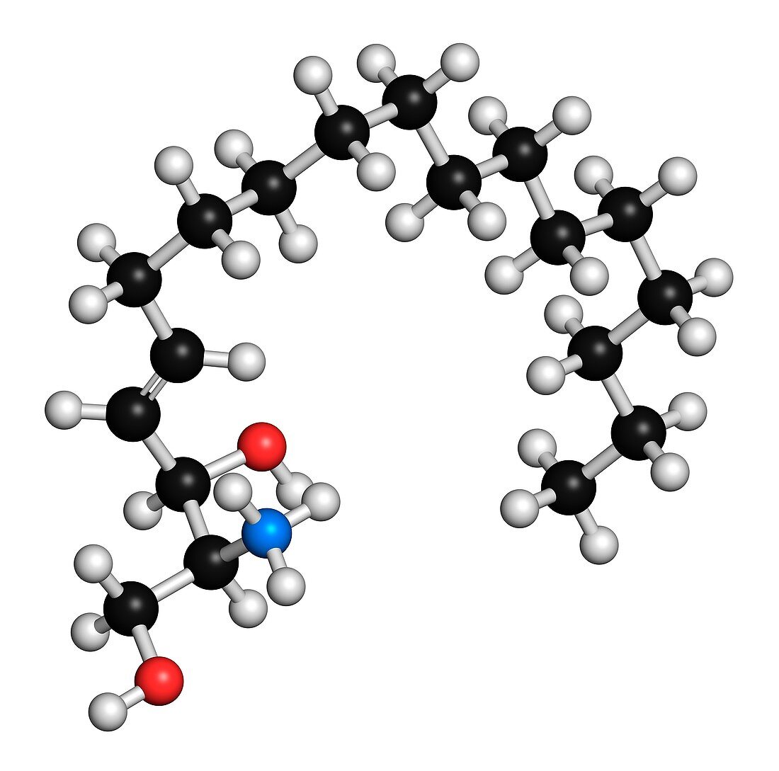 Sphingosine lipid molecule,illustration