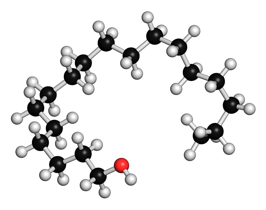 Stearyl alcohol molecule,illustration