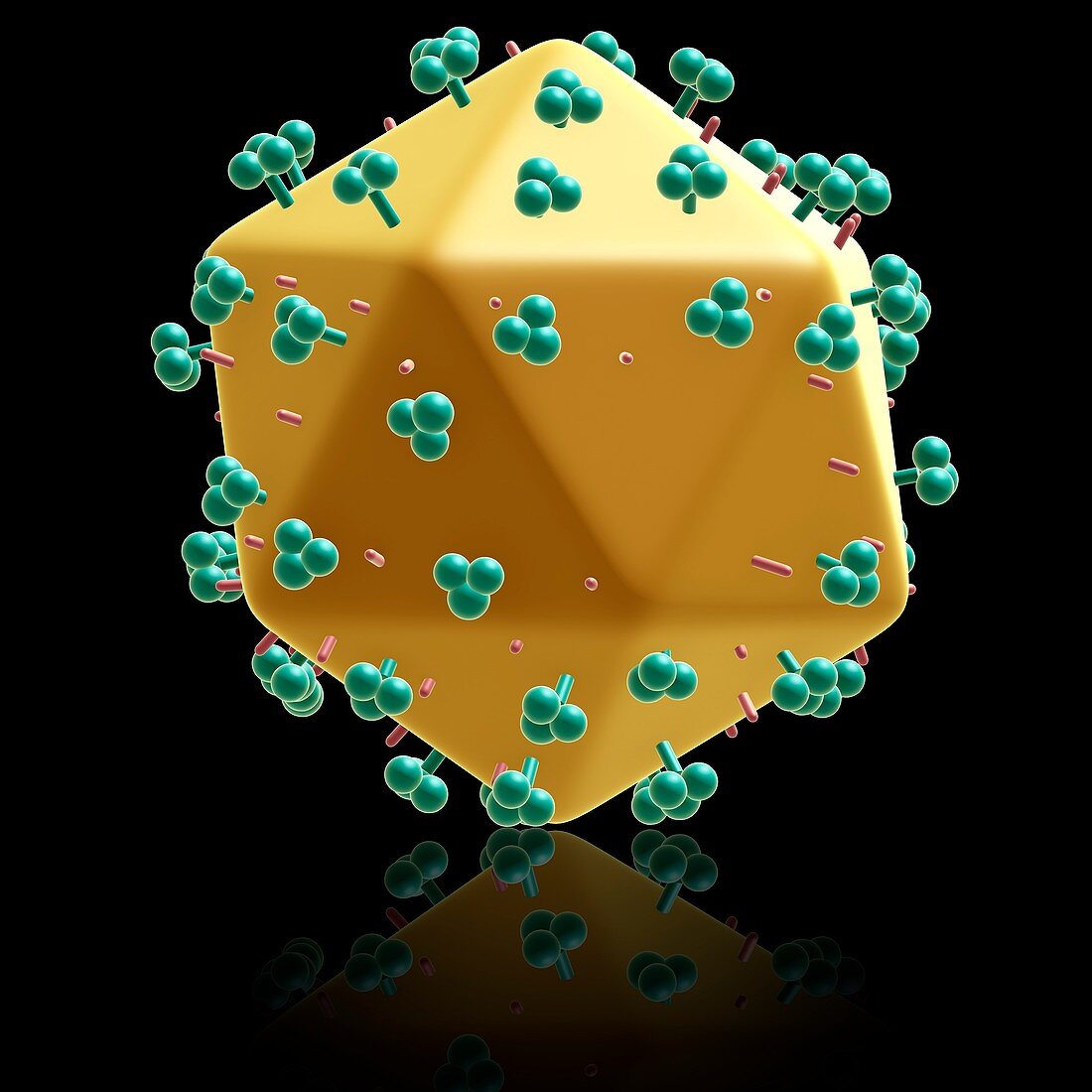 AIDS virus particle,illustration