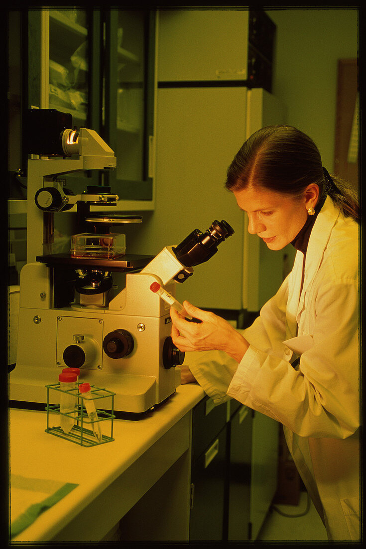 Researcher at work in tissue culture laboratory
