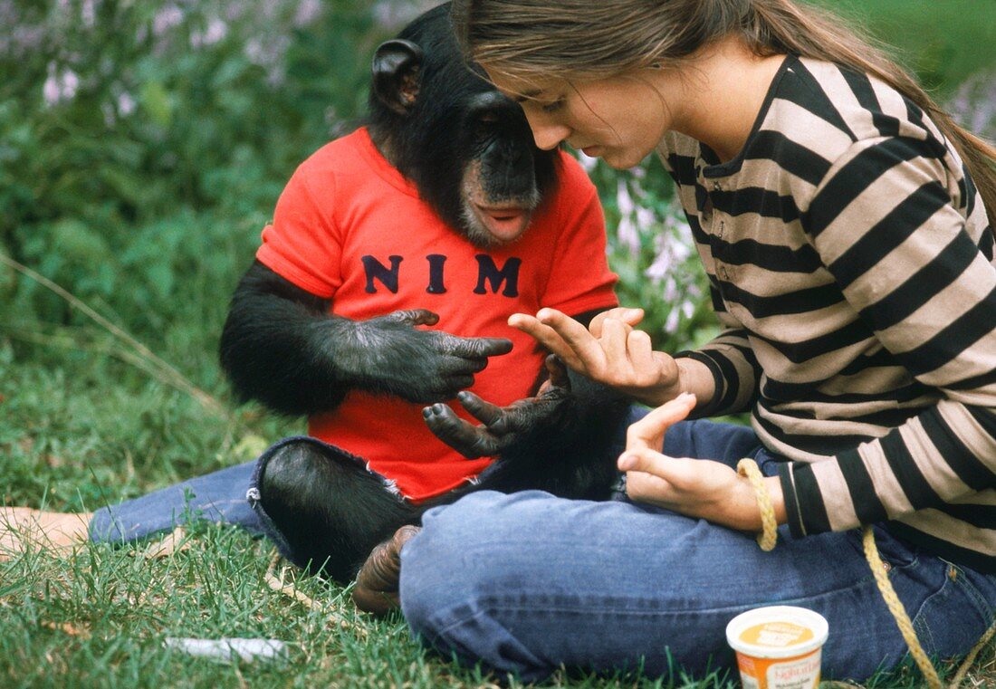 Joyce Butler with Nim the chimpanzee