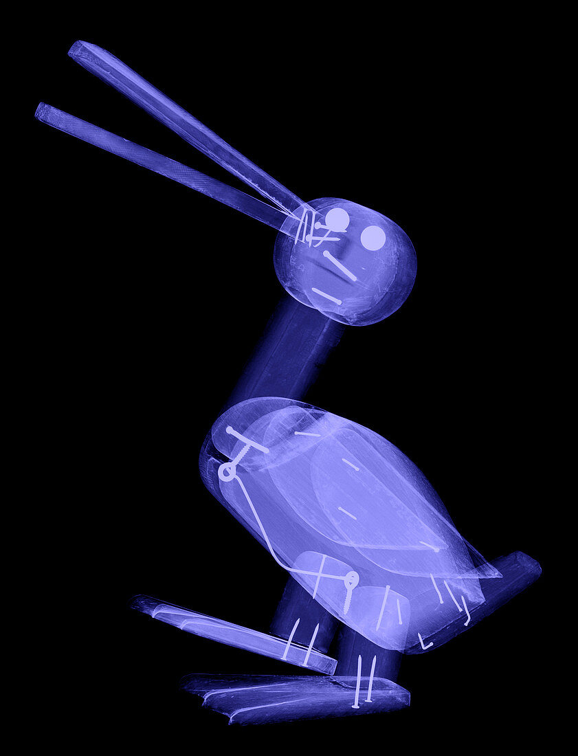 X-ray of a Wooden Duck Toy