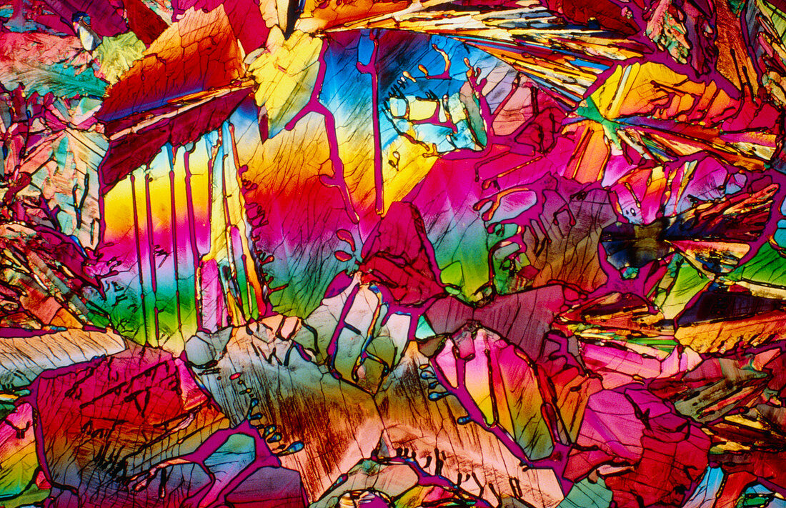 Polarised LM of crystals of sucrose