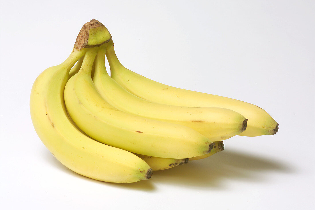 Bananas (day 1)