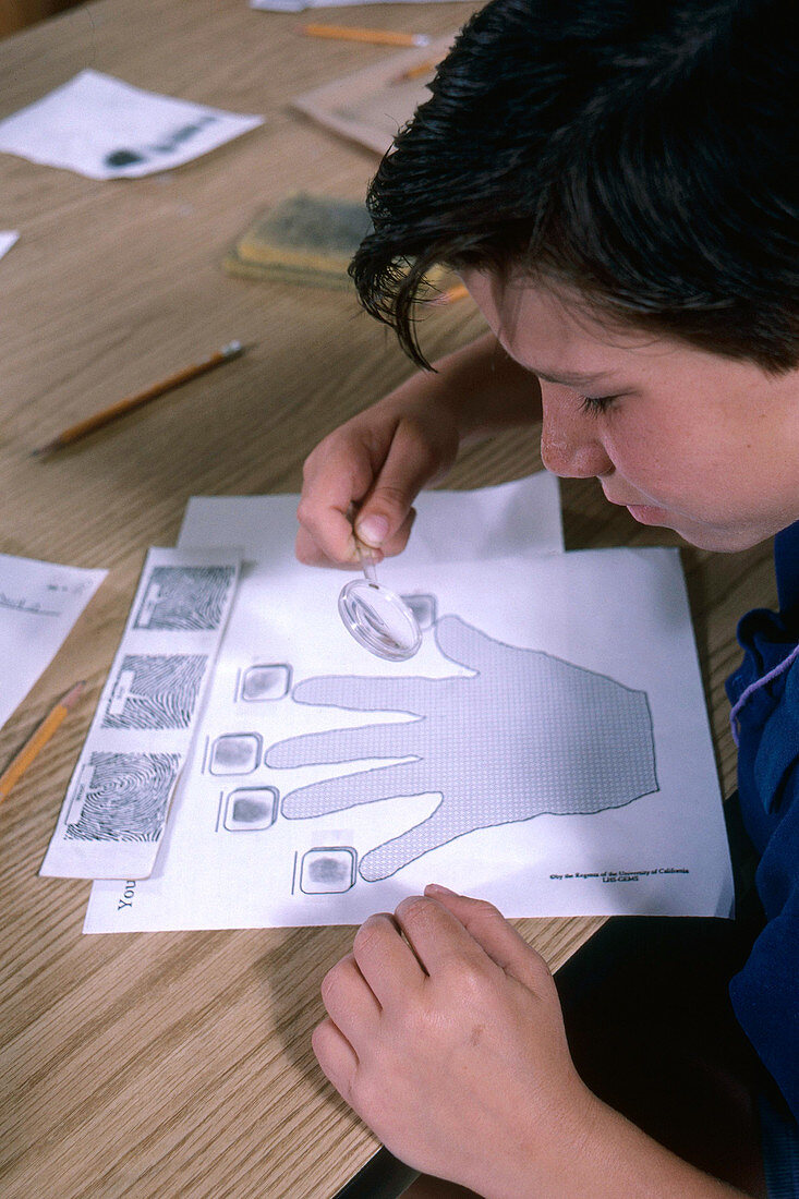Boy examining fingerprints