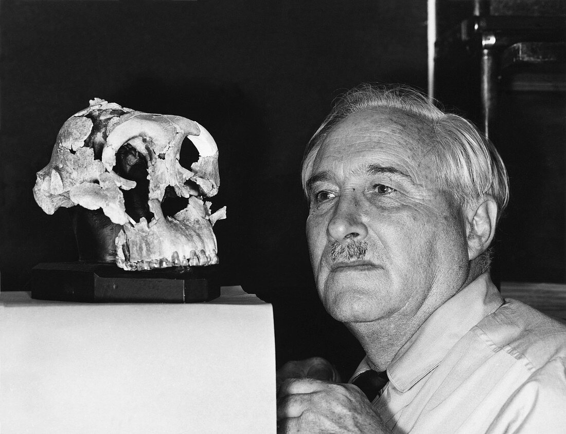 Louis Leakey,palaeontologist