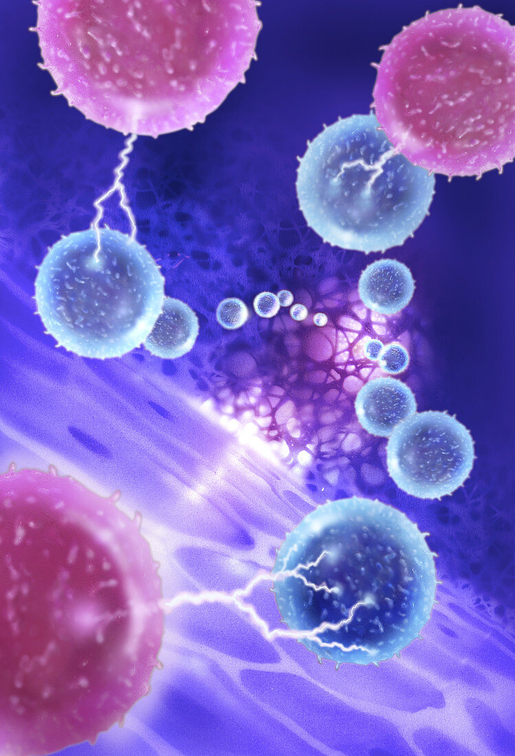 T cells attacking a cancerous tumor