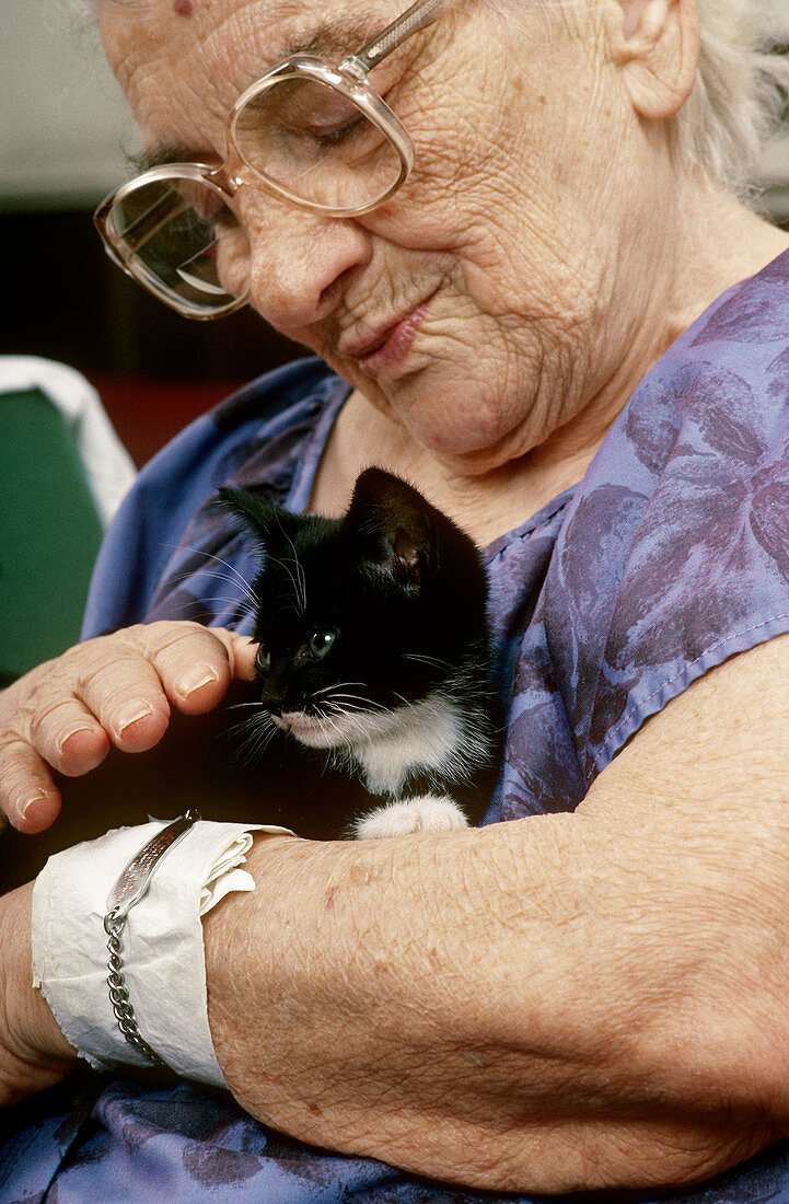 Old Woman with Kitten