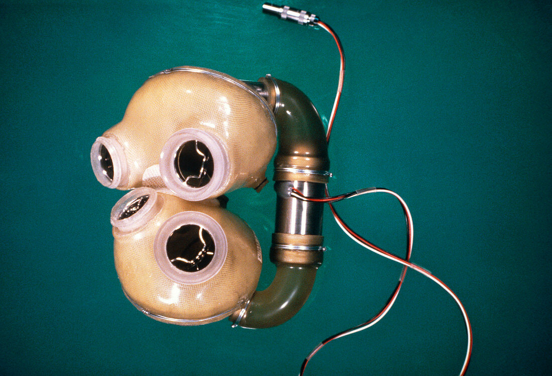 Jarvik-7,a pneumatically operated artifici