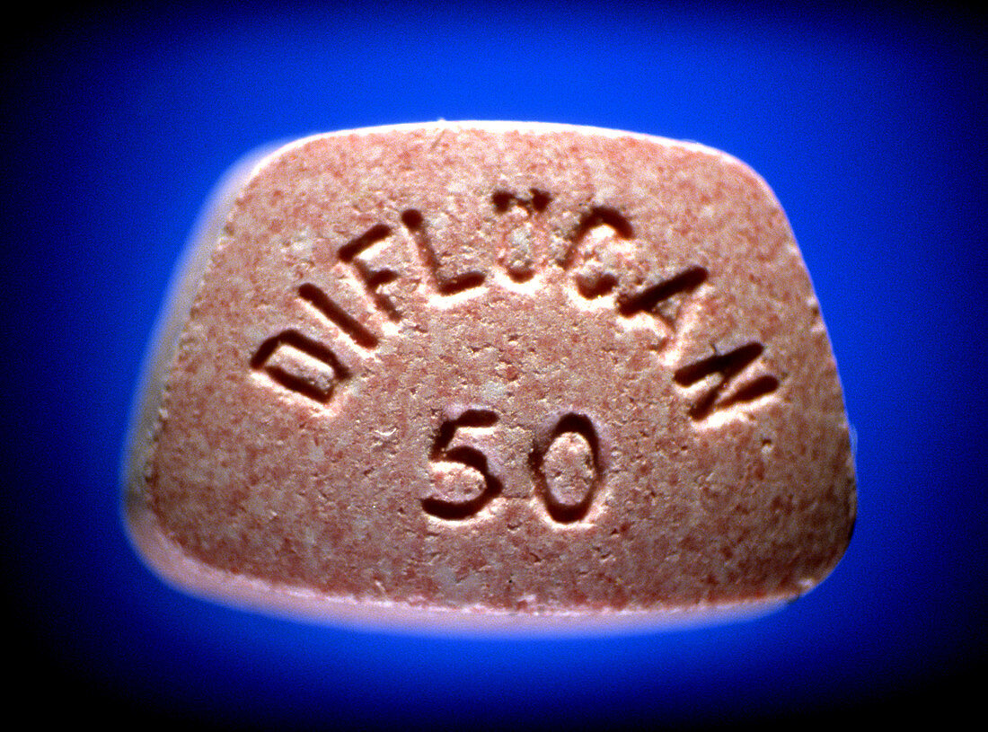 Diflucan (Flucanazole) 100 mg tablet