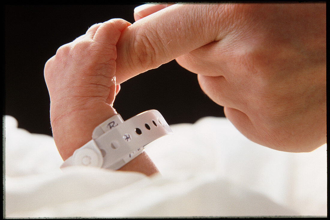 Newborn baby's hand instinctively grasping finger