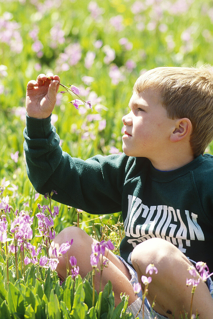 Young boy in wildflowers