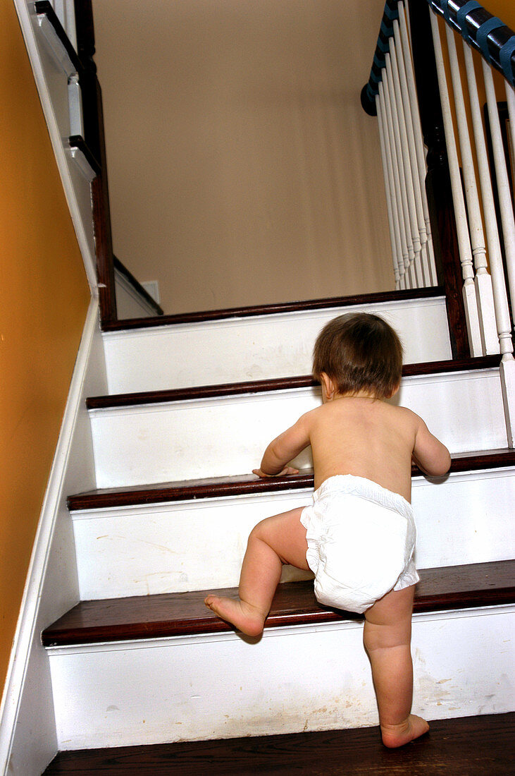 Baby Climbing the Stairs