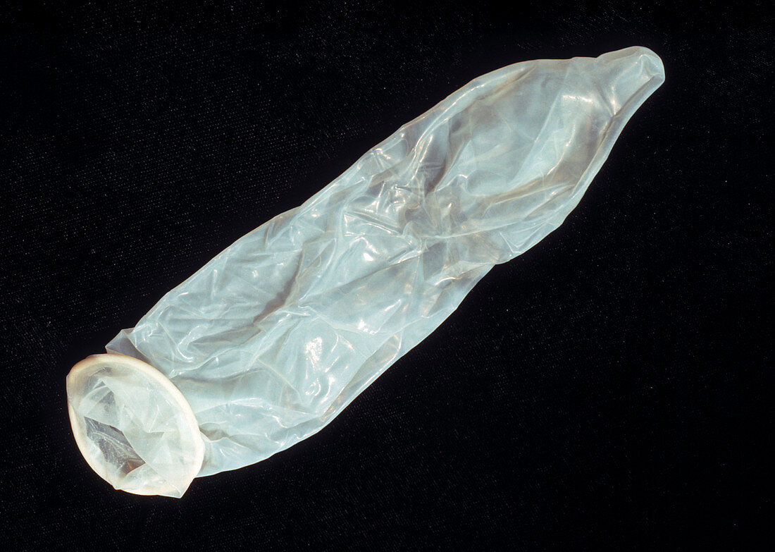 View of an unrolled male condom
