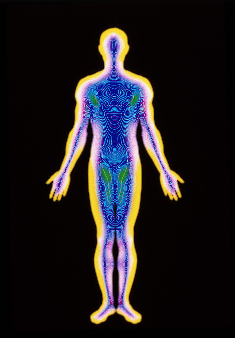 Computer art of a standing human form (front view)