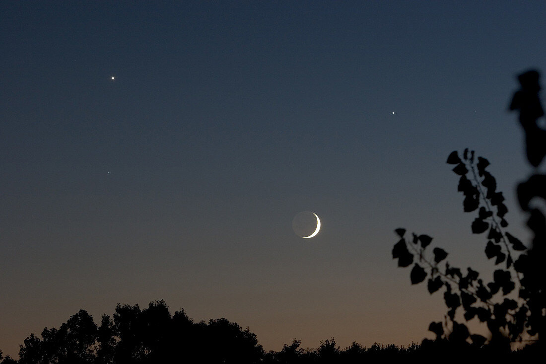 'Crescent Moon,Venus,Jupiter,and Spica'