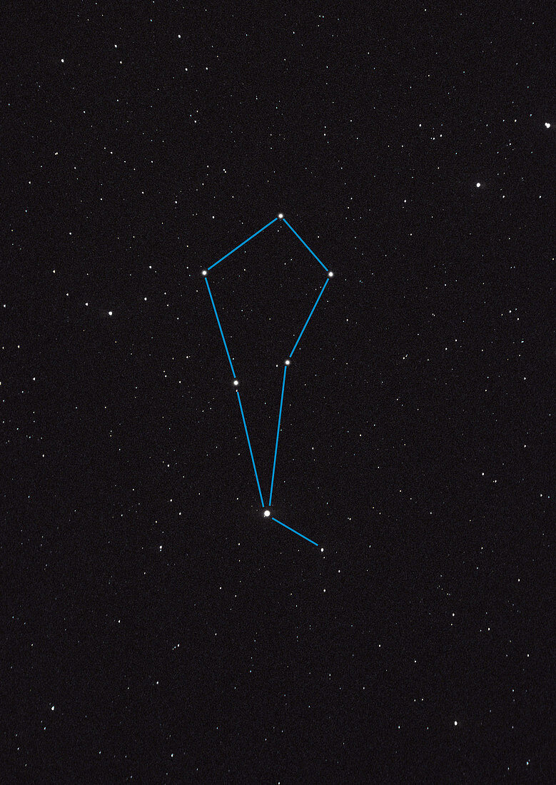Bootes Constellation