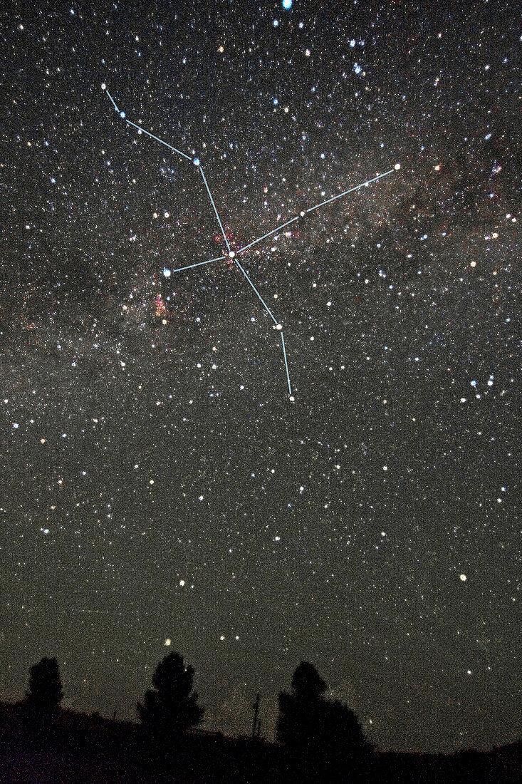 Cygnus Constellation