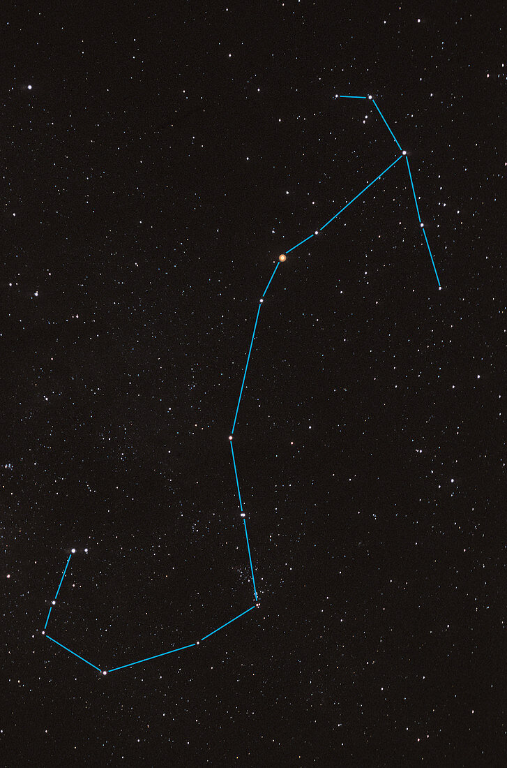 Scorpius Constellation