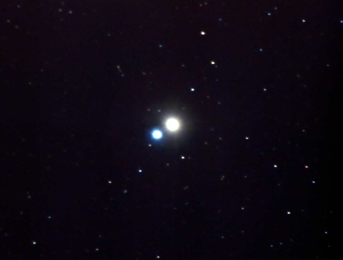 Albireo