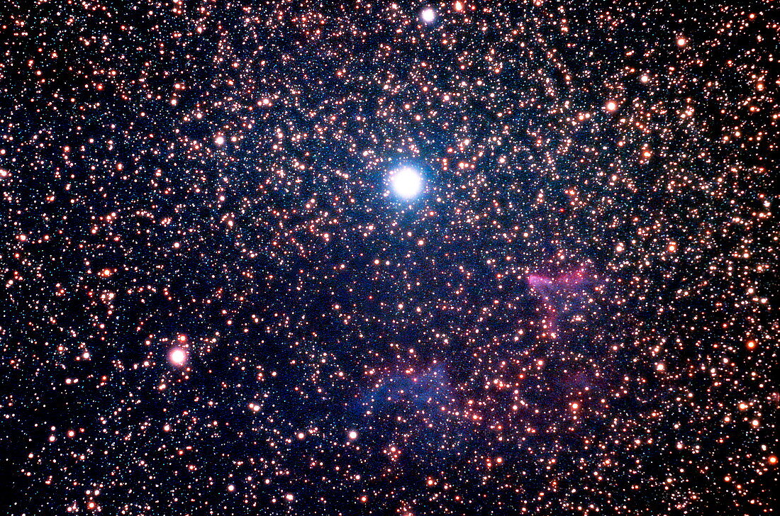 Nebulae and Gamma Cassiopeia