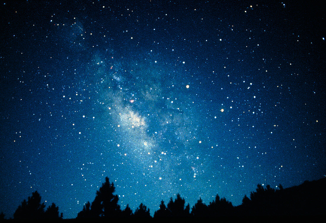 Milky Way in Sagittarius over tree line,USA