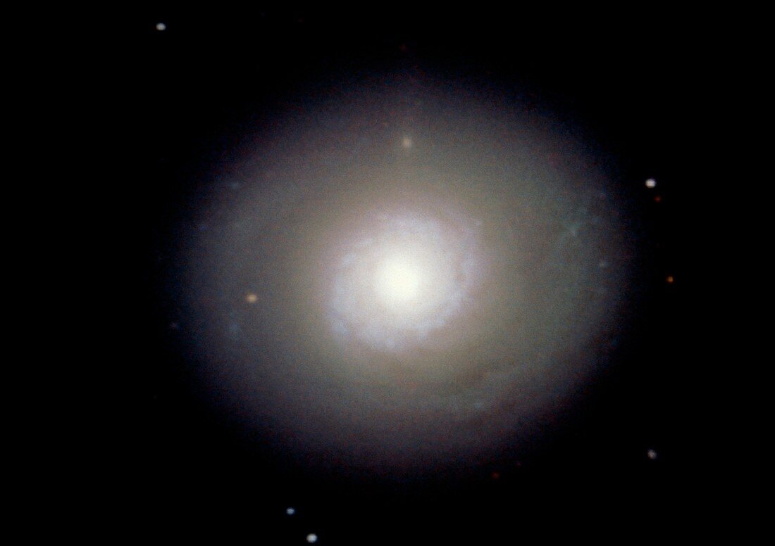 Optical CCD image of the spiral galaxy M94