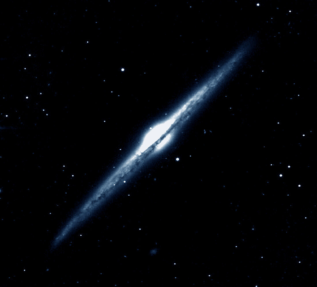 NGC 4565 Galaxy