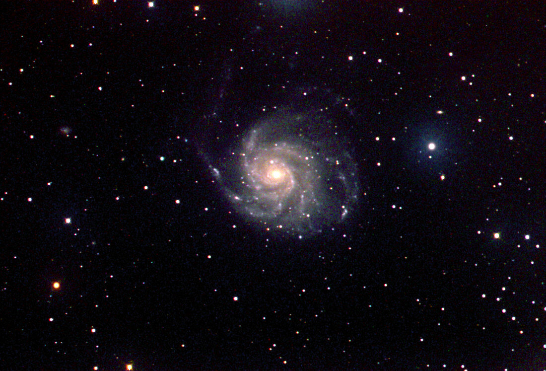 Pinwheel Spiral Galaxy